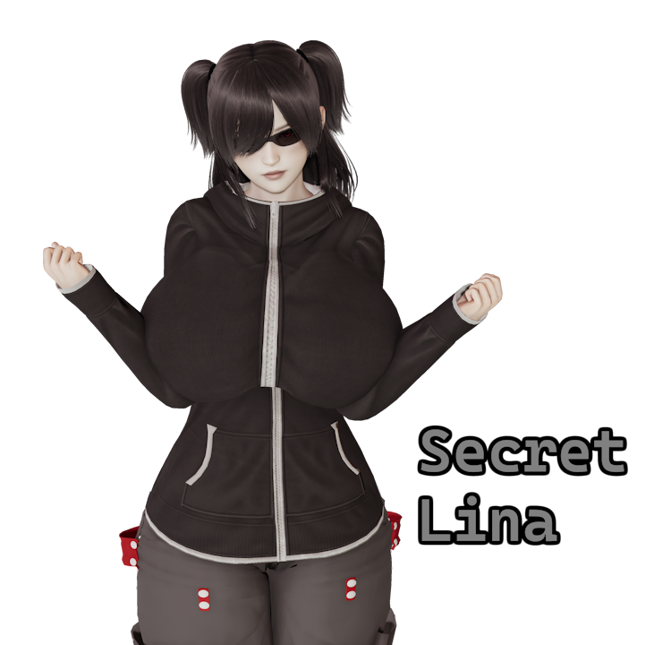 Cover image for Secret Lina