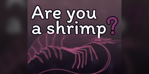 Cover image for Are you a shrimp?