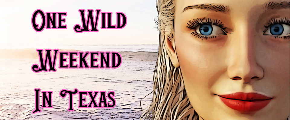 One Wild Weekend in Texas: Demo