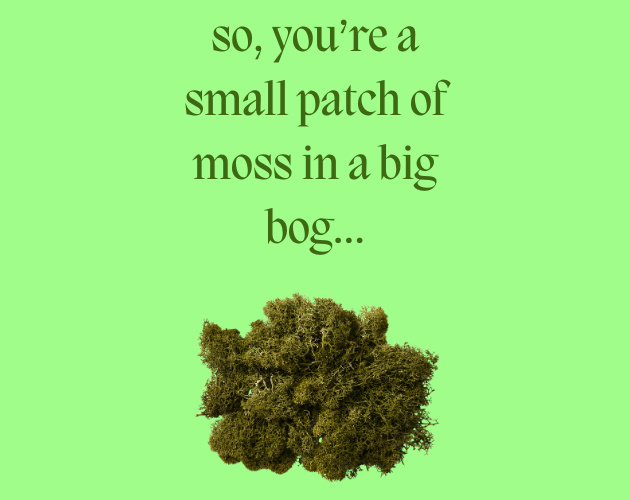 so, you're a small patch of moss in a big bog...