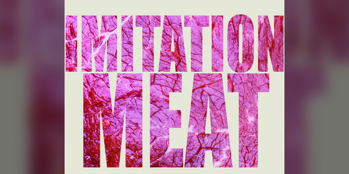 Cover image for Imitation Meat -- ASHCAN