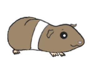 The Guinea Pig Veggie Rush
