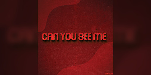 Cover image for Can You See Me