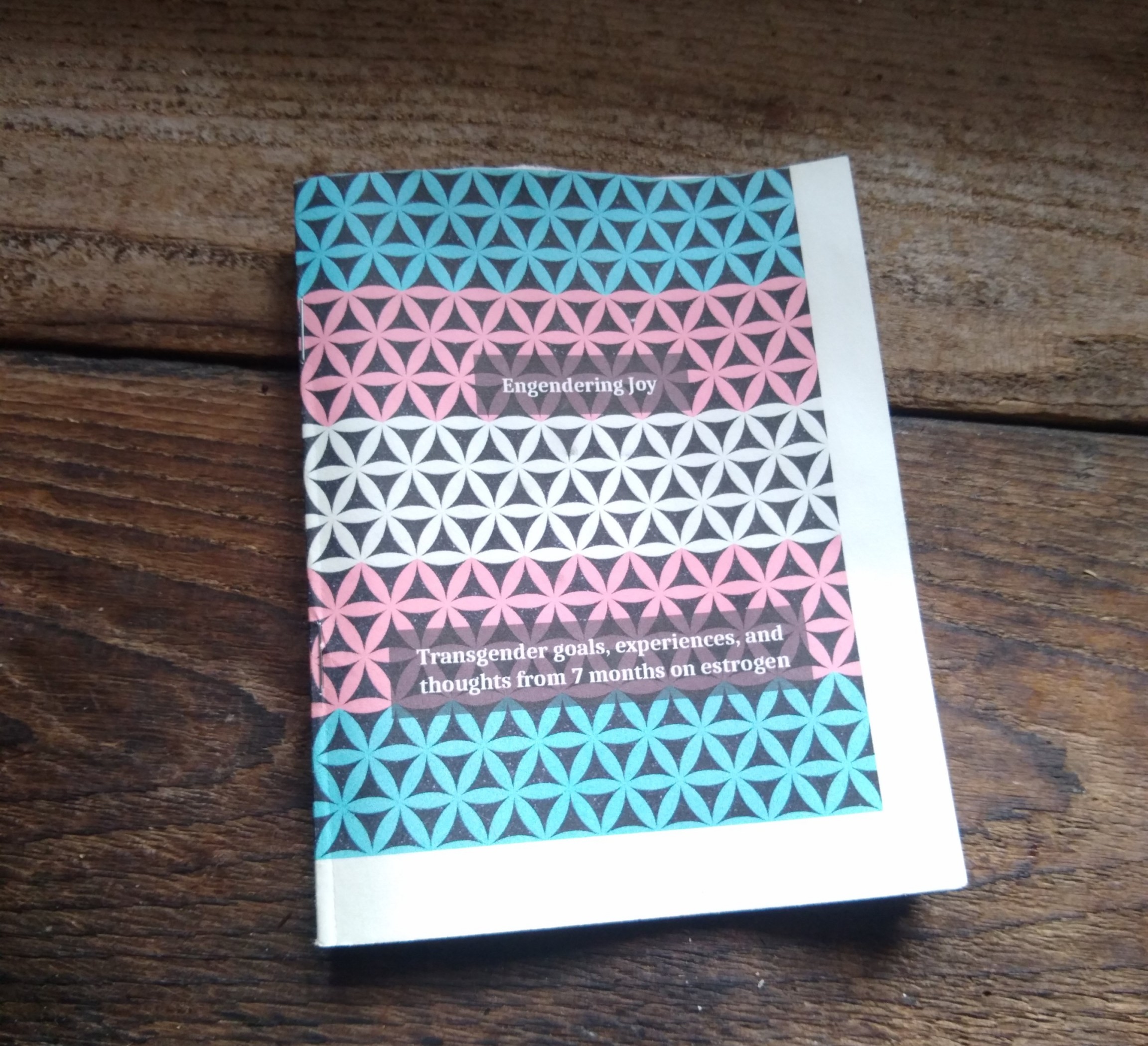 Cover image for Engendering Joy