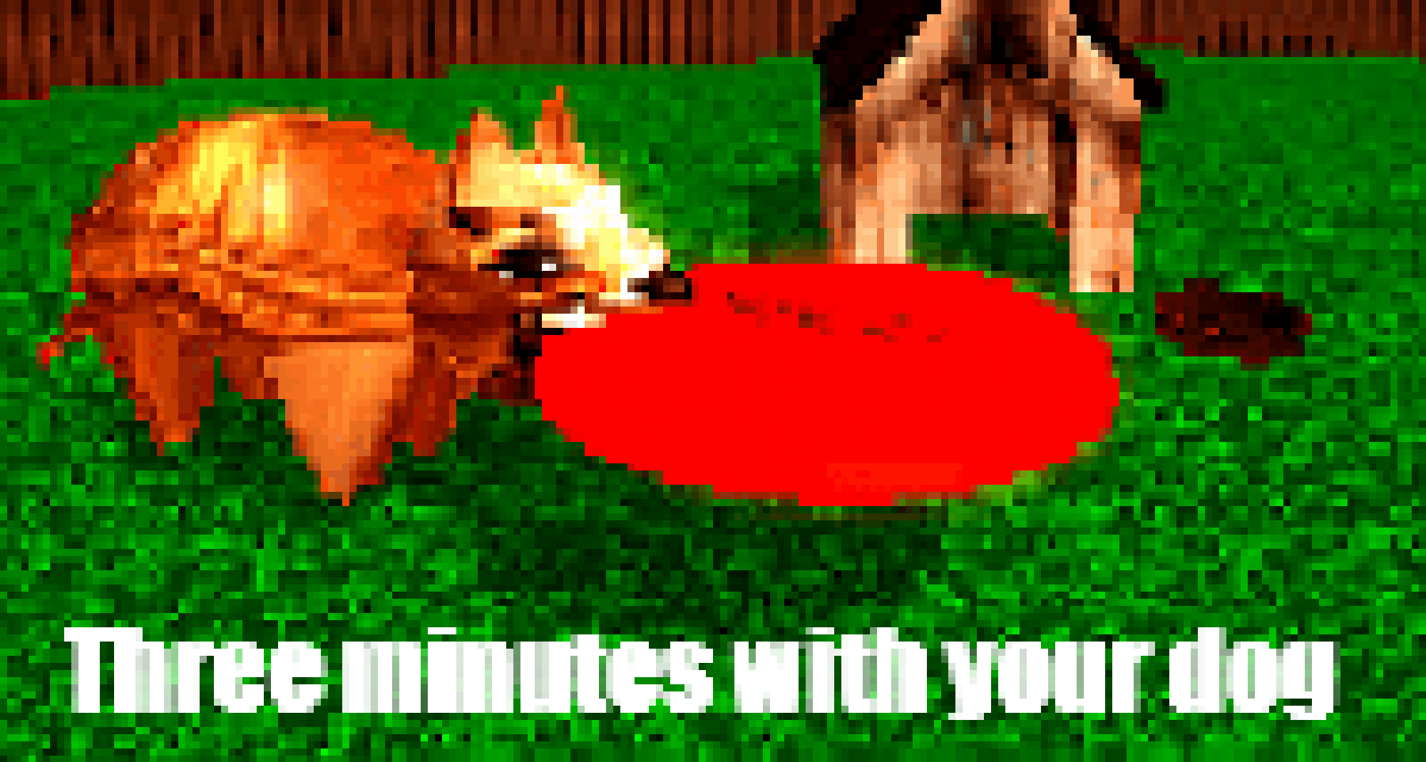 Three Minutes With Your Dog