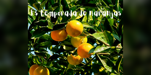 Cover image for Es temporada de naranjas (ES)