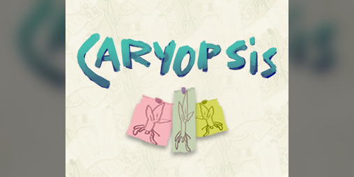 Cover image for Caryopsis