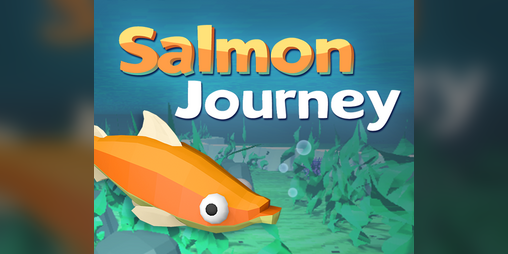 Cover image for Salmon Journey