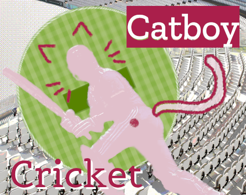 Cover image for Catboy Cricket