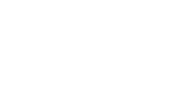 Slovak Arts Council