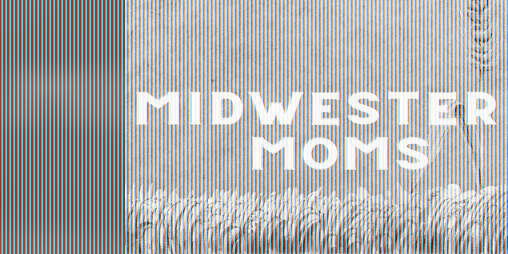 Cover image for Midwestern Moms