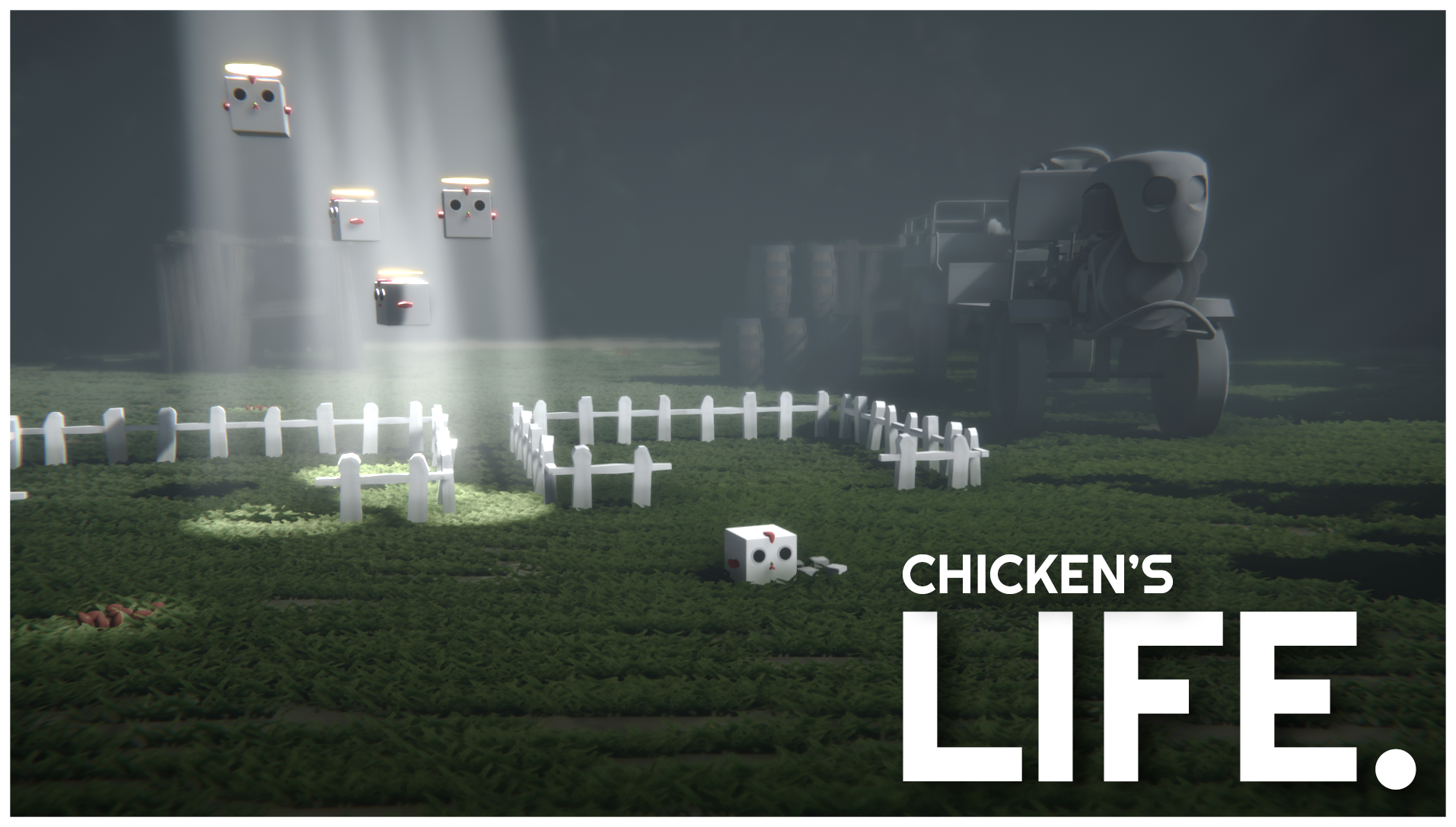 CHICKEN'S LIFE