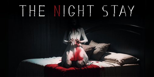 Cover image for THE NIGHT STAY