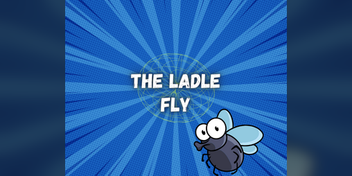 Cover image for The Ladle Fly