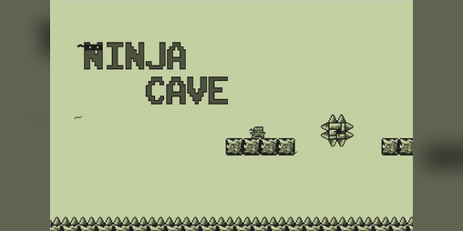 Cover image for Ninja Cave