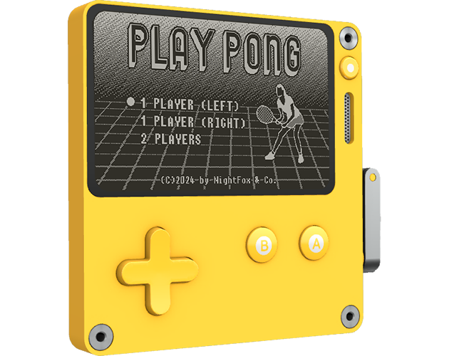 Play Pong