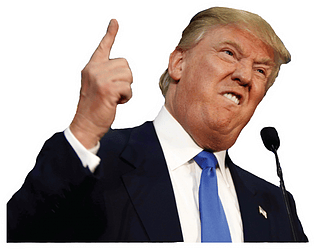 Trump Wants Money cover art