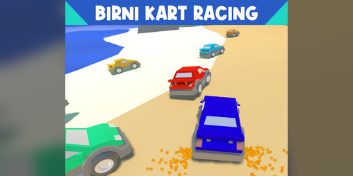 Cover image for Birni Kart Racing