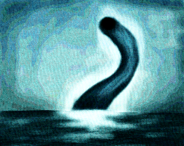 Sea Worm cover