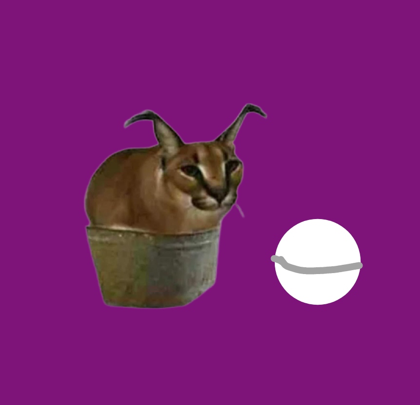 Floppa Pelmens