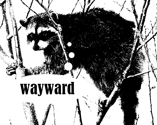 Cover image for Wayward Raccoon