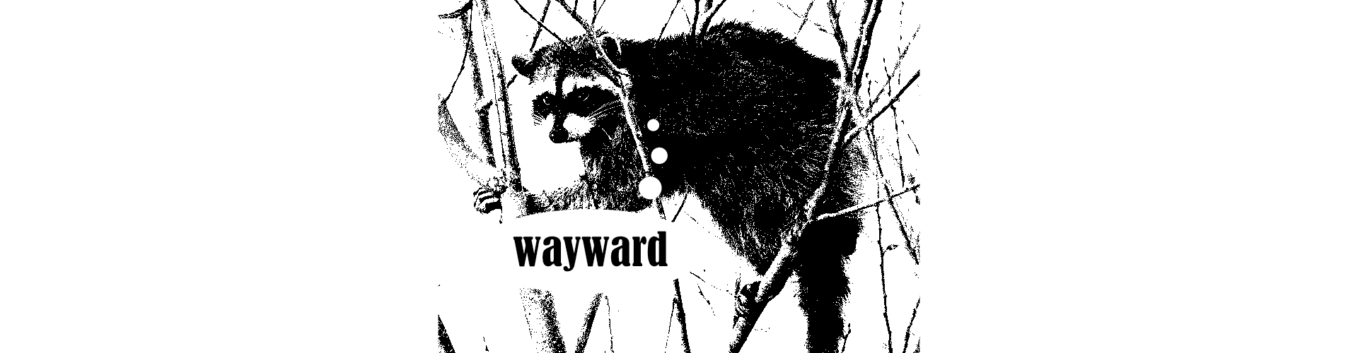 Wayward Raccoon