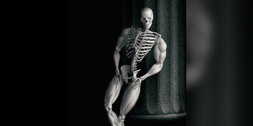 Cover image for SKELETON WAR