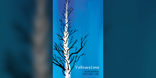 Cover image for Yellowstone