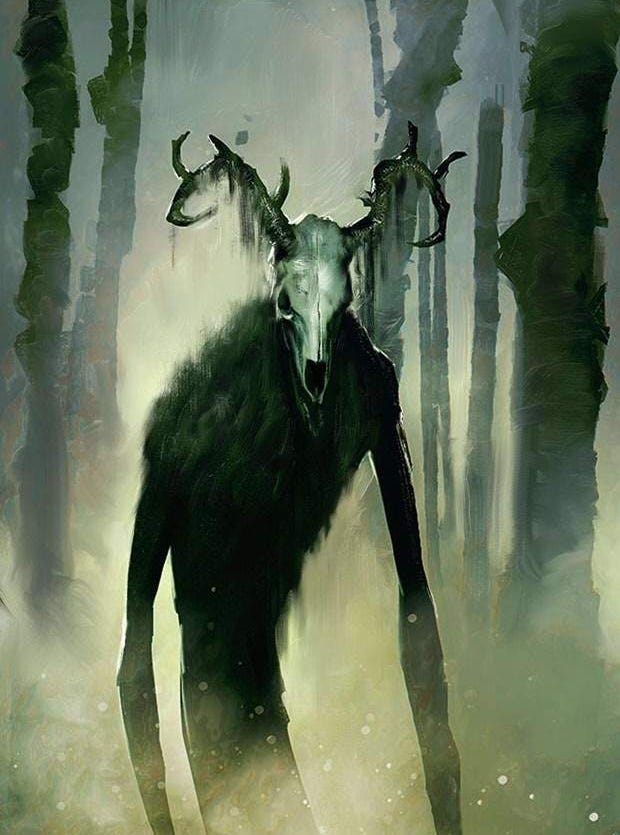 Shadows Of The Forest
