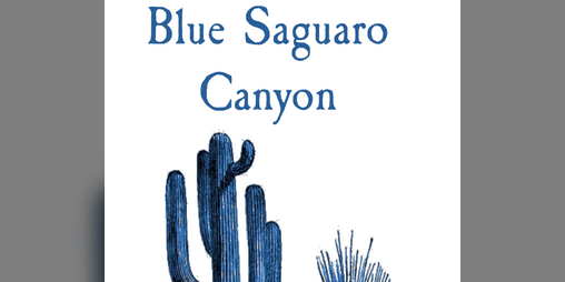 Cover image for Blue Saguaro Canyon