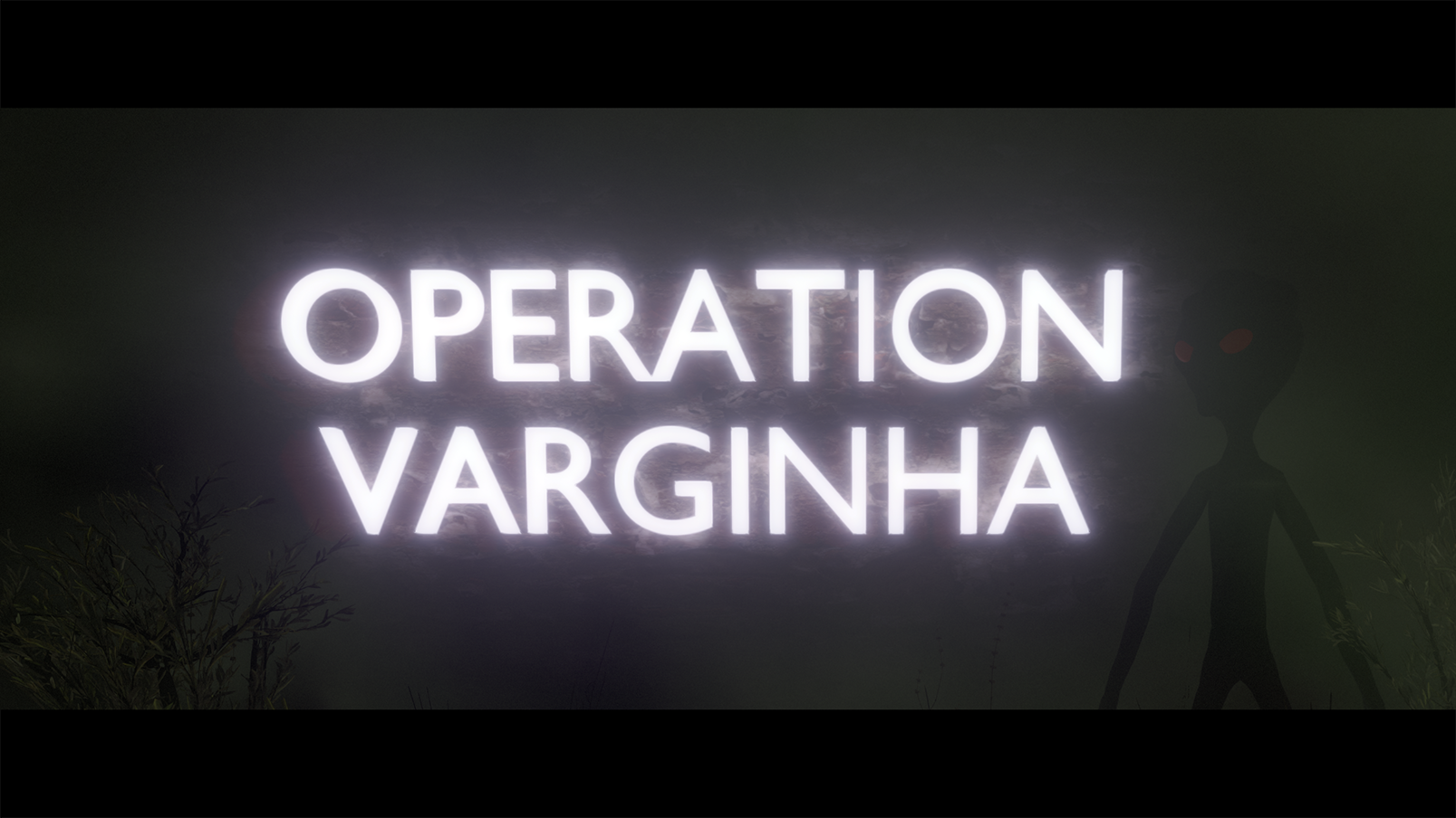 Operation Varginha