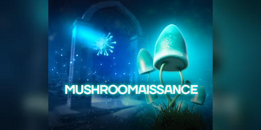 Cover image for Mushroomaissance