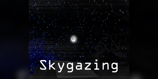 Cover image for Skygazing