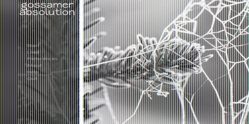 Cover image for Gossamer Absolution