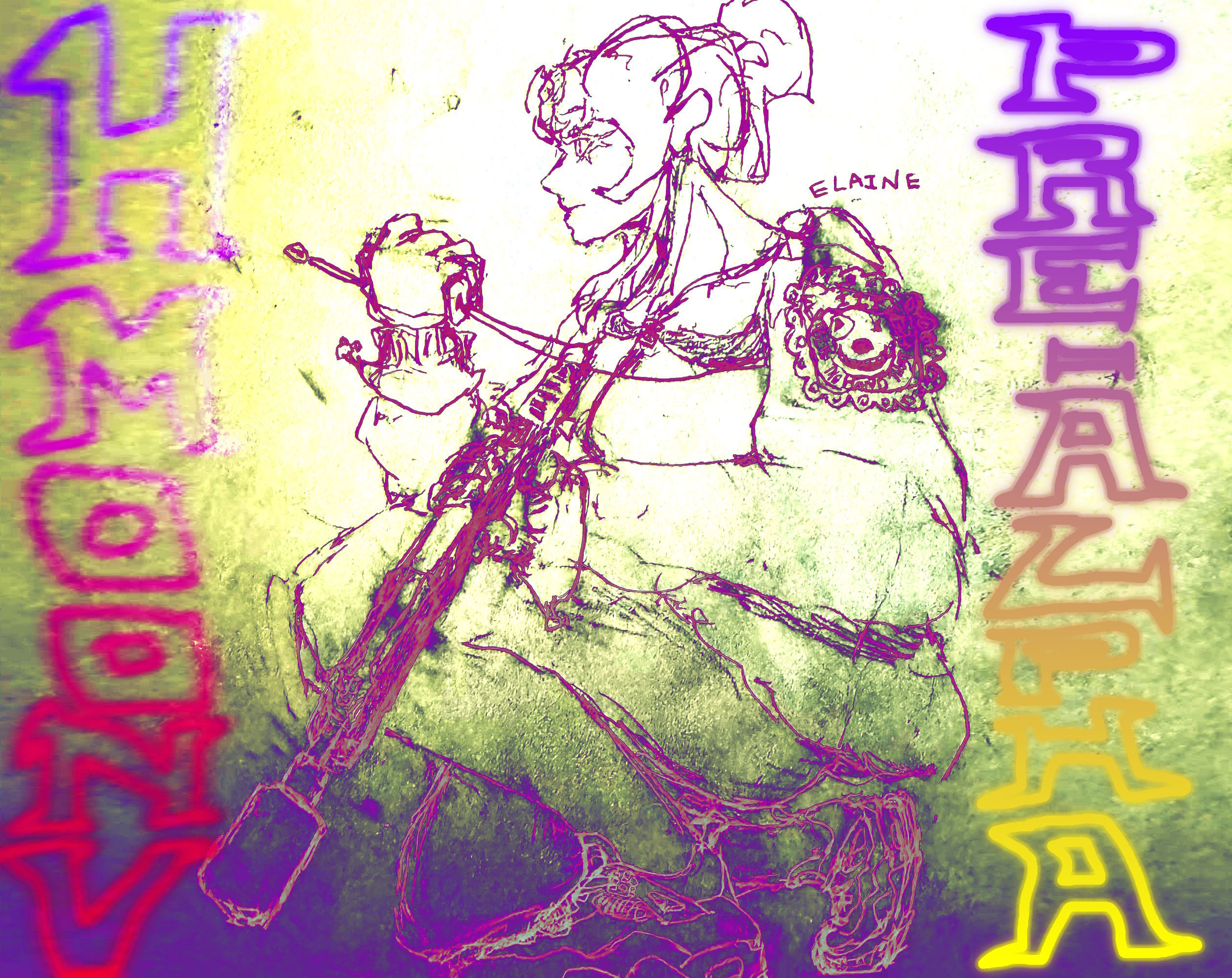 Cover image for HMOONV