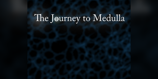 Cover image for The Journey To Medulla