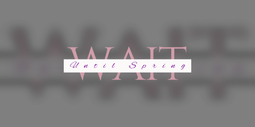 Cover image for Wait Until Spring