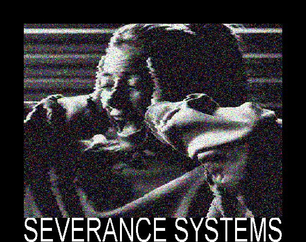Cover image for SEVERANCE SYSTEMS
