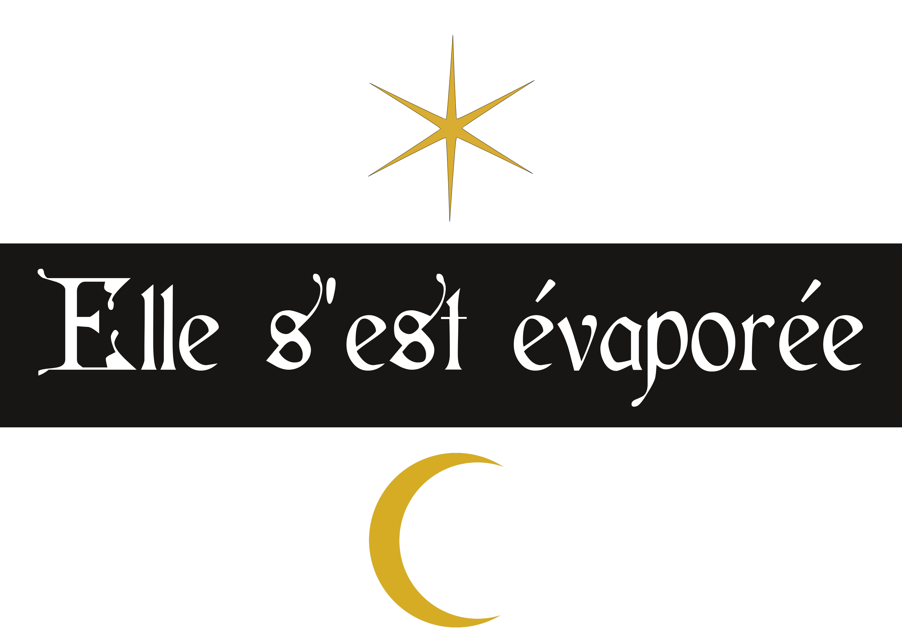 Cover image for Elle s'est évaporée