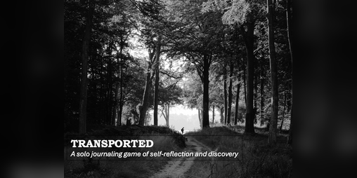 Cover image for Transported