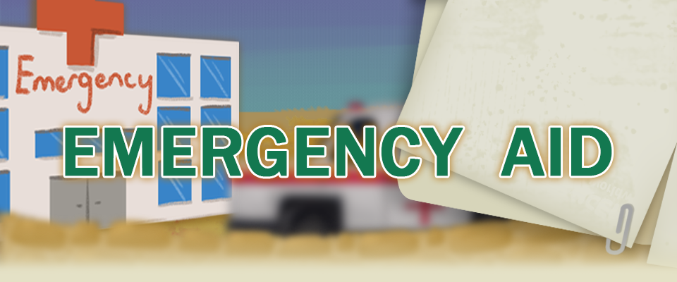 Emergency Aid