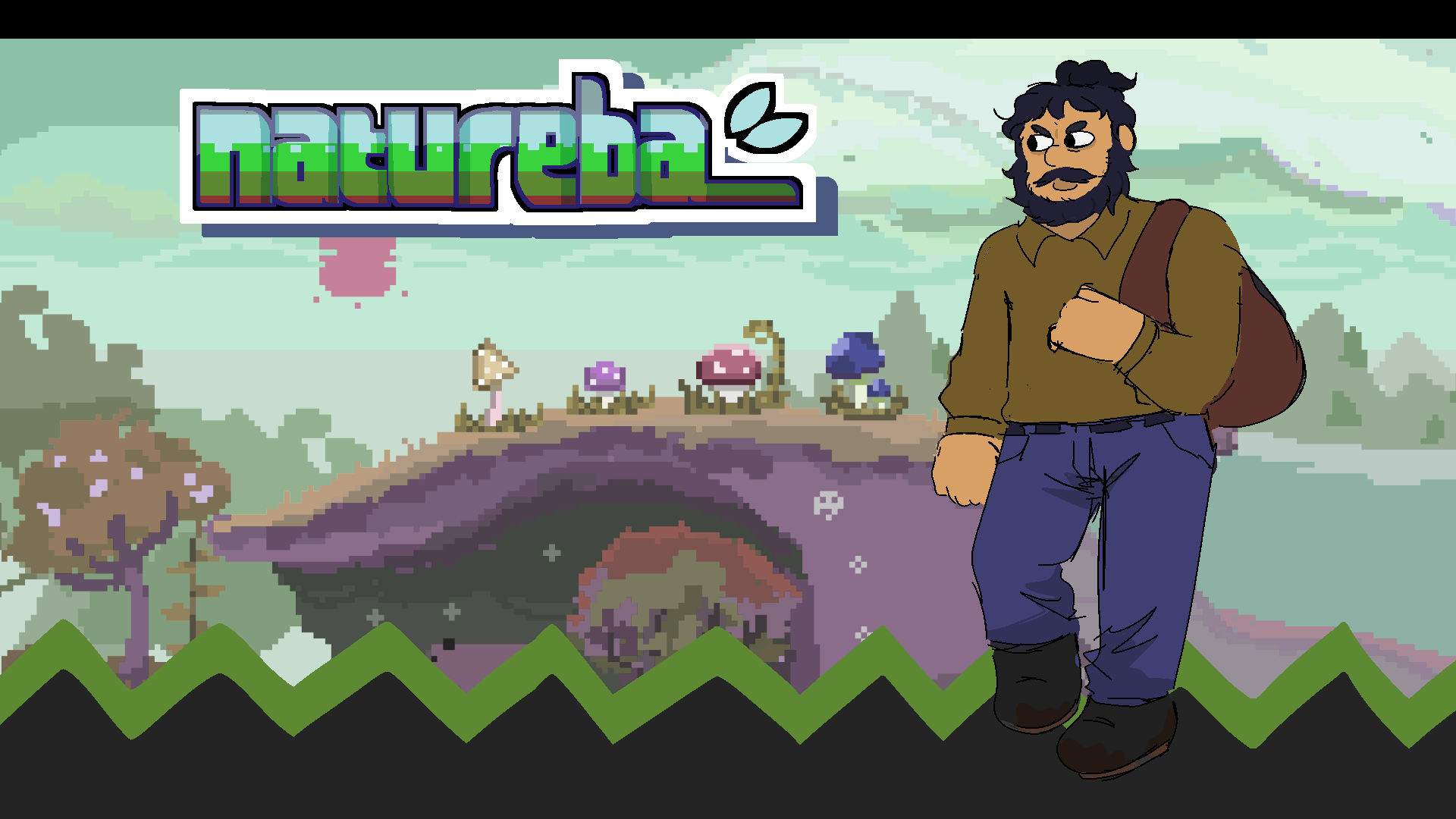 Cover image for Natureba