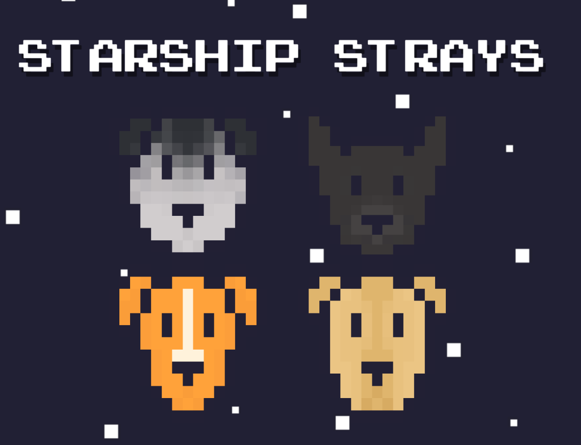 Starship Strays