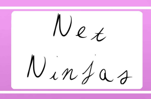 Net Ninja's