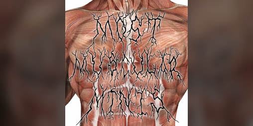 Cover image for Most Muscular Minis