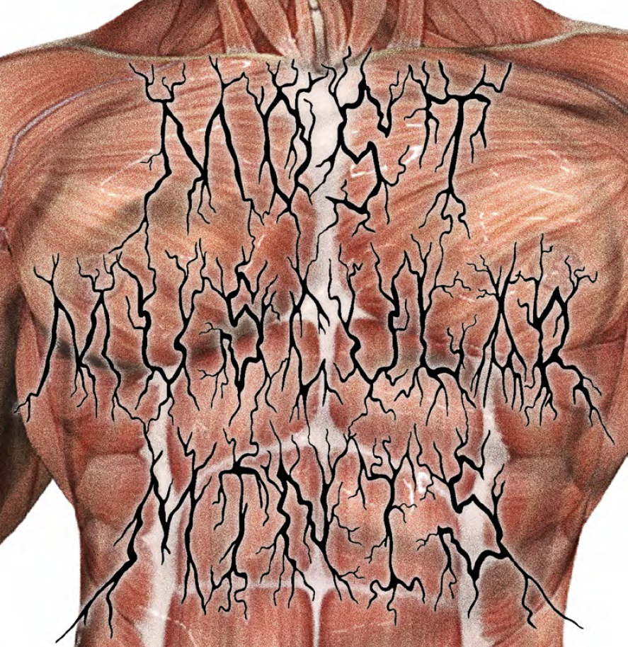 Cover image for Most Muscular Minis