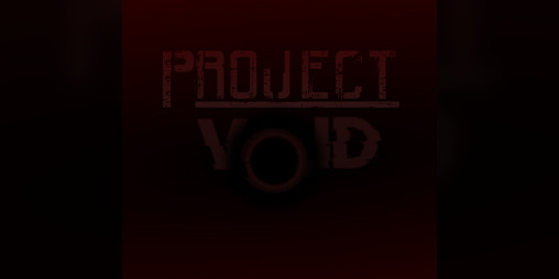 Cover image for Project Void