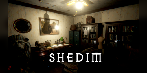 Cover image for SHEDIM