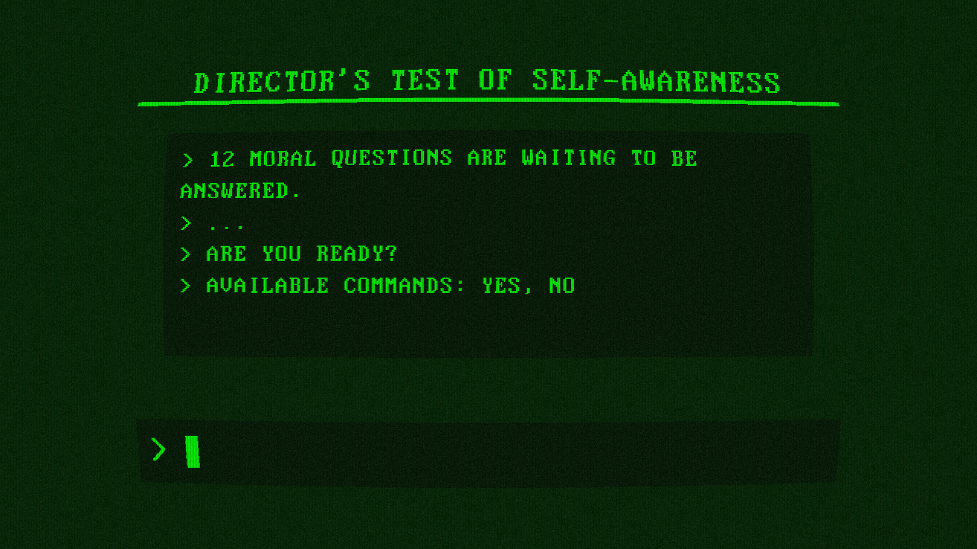 Director's Test of Self-Awareness