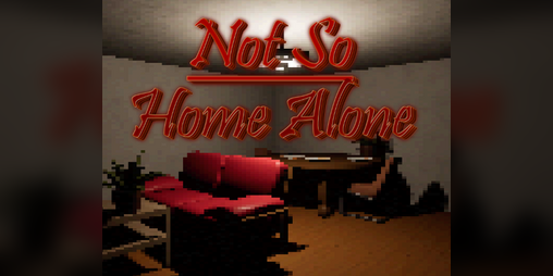 Cover image for Not So Home Alone